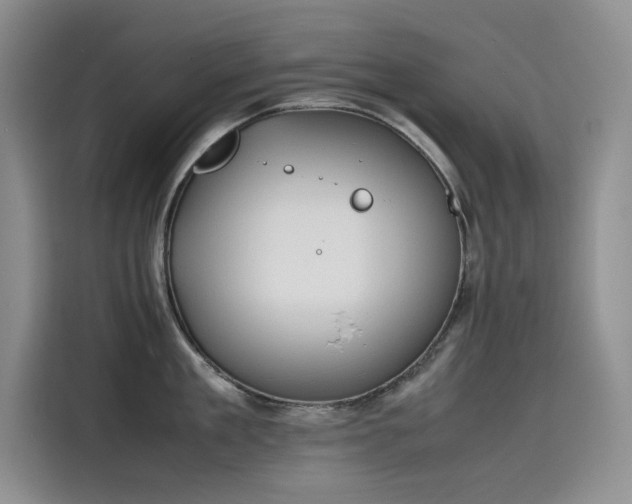 X0000115620909200911171313