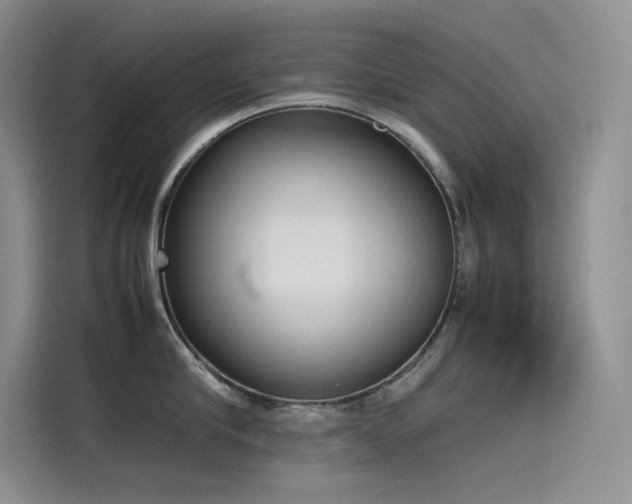 X0000115620910200911171313