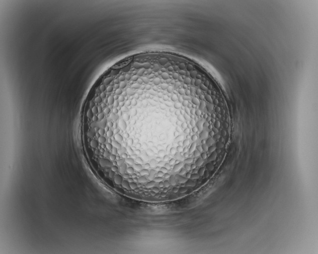 X0000115620911200911171313