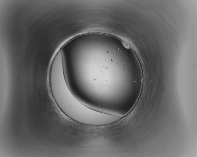 X0000115620912200911171313