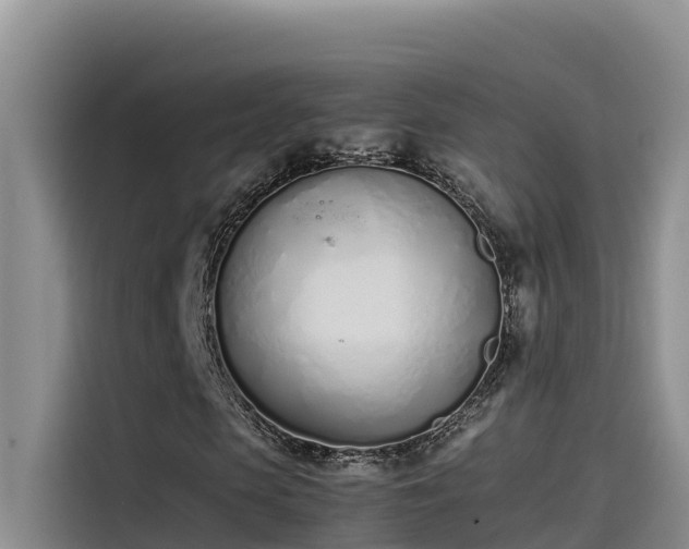 X0000115620913200911171313