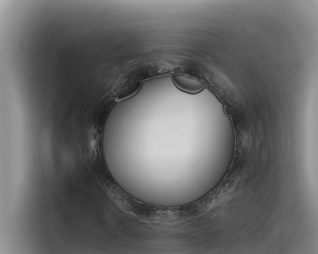 X0000115620914200911171313