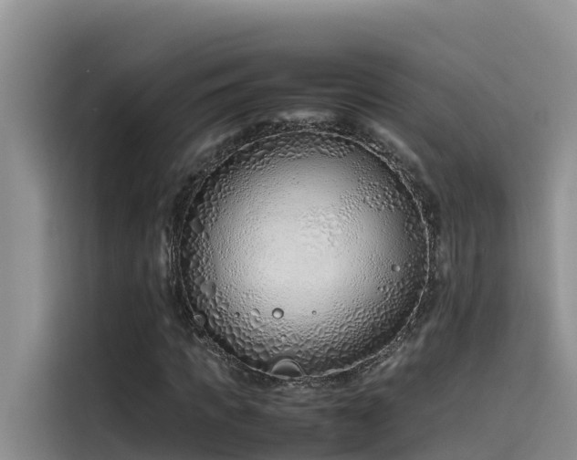 X0000115620917200911171313