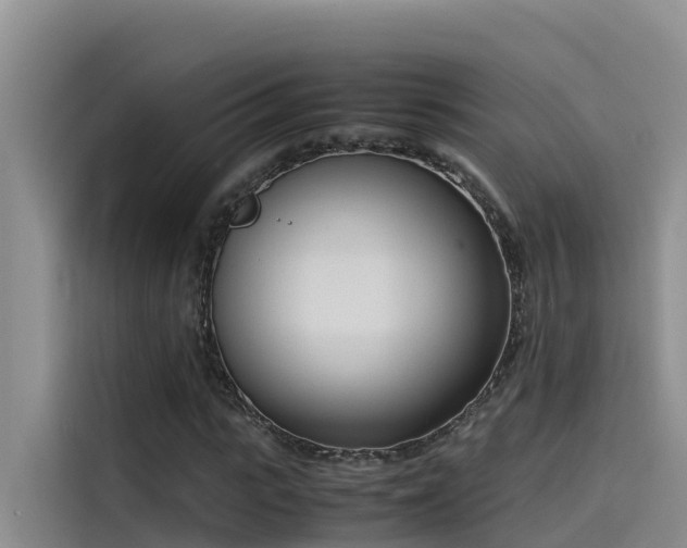 X0000115620919200911171313