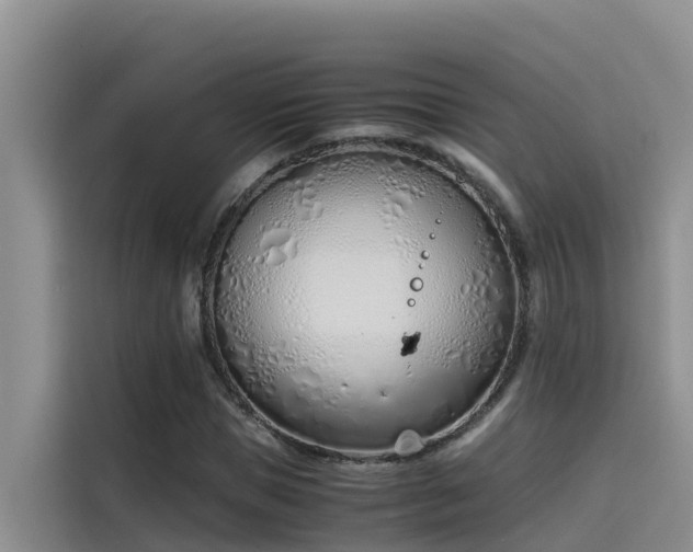 X0000115620921200911171313