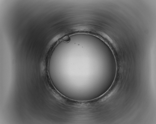 X0000115620922200911171313