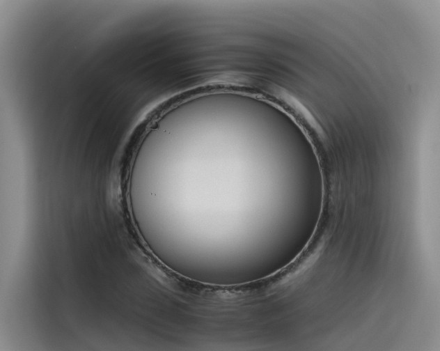 X0000115620923200911171313