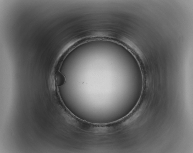 X0000115620925200911171313