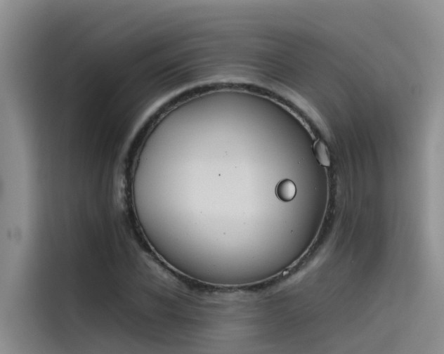 X0000115620926200911171313