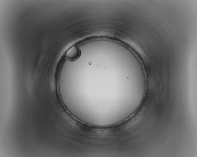 X0000115620927200911171313