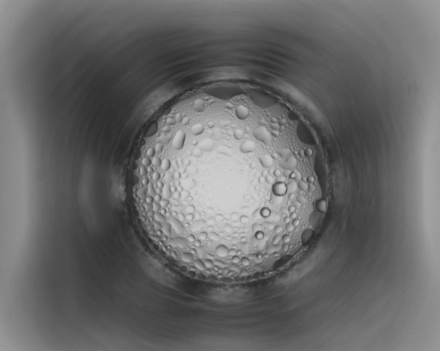 X0000115620929200911171313