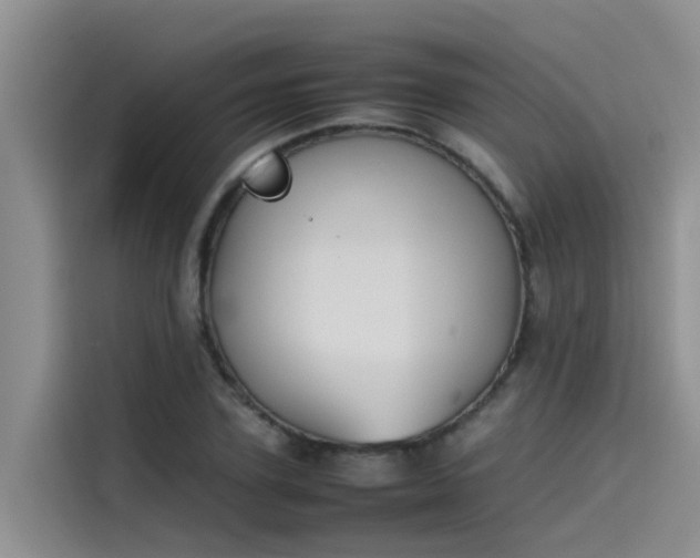 X0000115620931200911171313