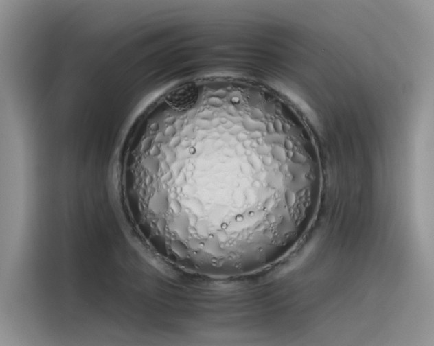 X0000115620933200911171313