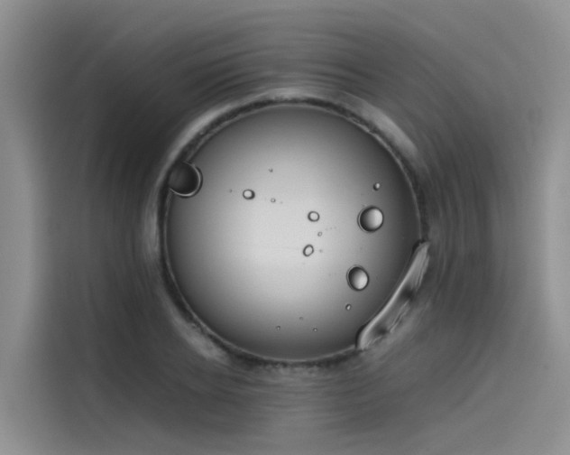 X0000115620934200911171313