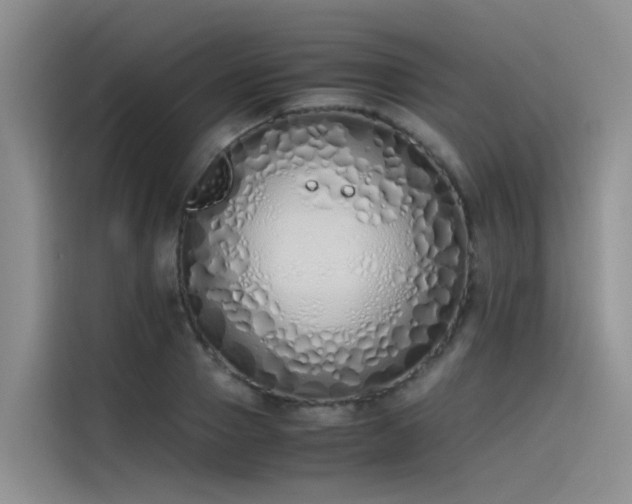 X0000115620937200911171313