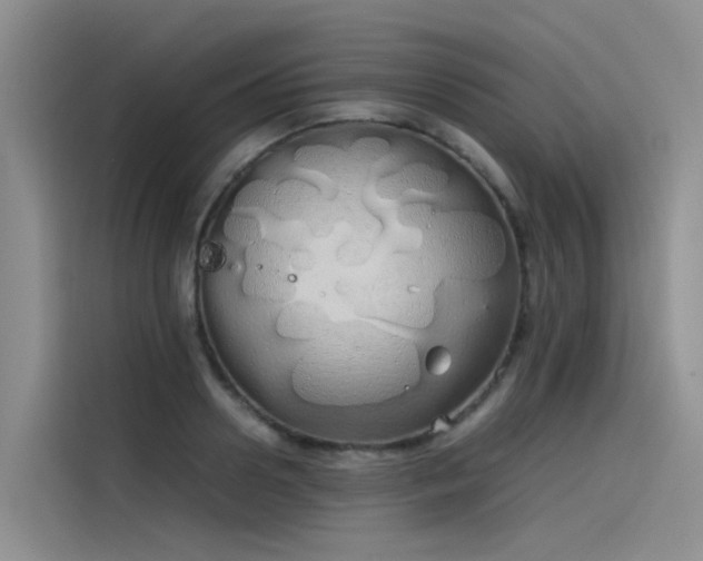 X0000115620938200911171313