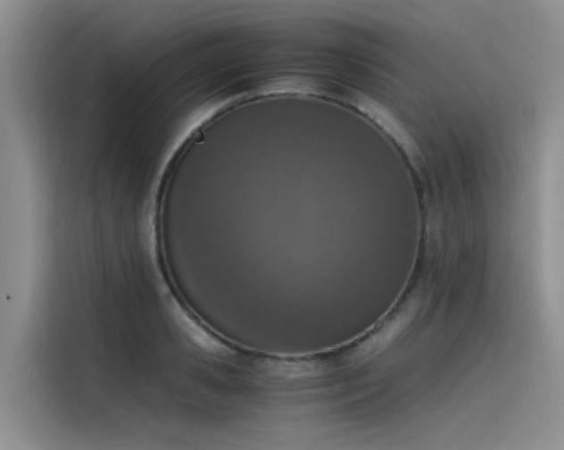 X0000115620941200911171313