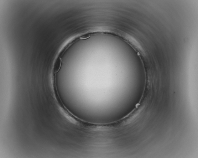 X0000115620942200911171313