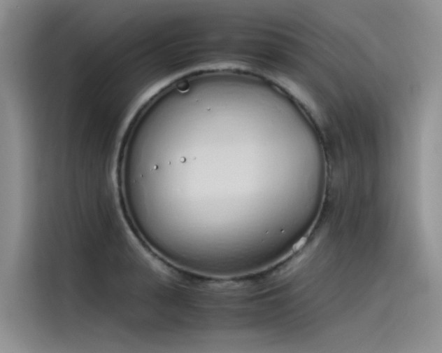 X0000115620943200911171313