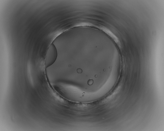 X0000115620945200911171313