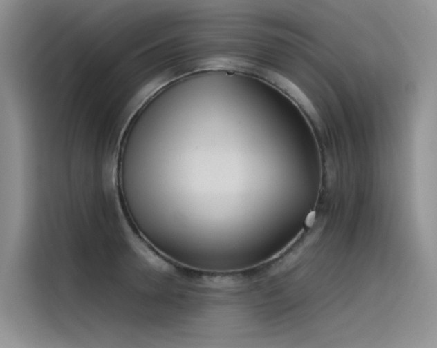 X0000115620946200911171313