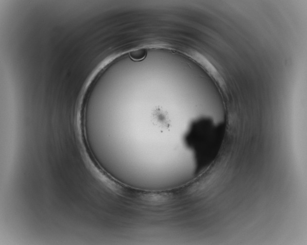 X0000115620947200911171313