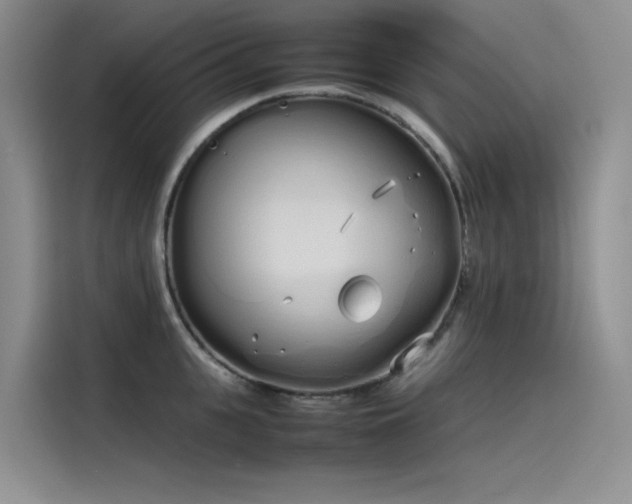 X0000115620951200911171313