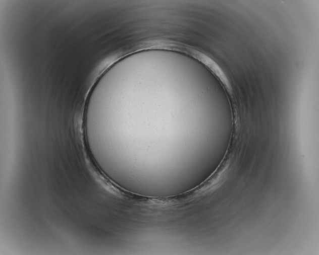 X0000115620954200911171313