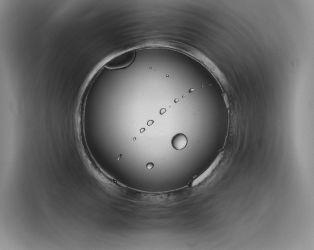 X0000115620955200911171313