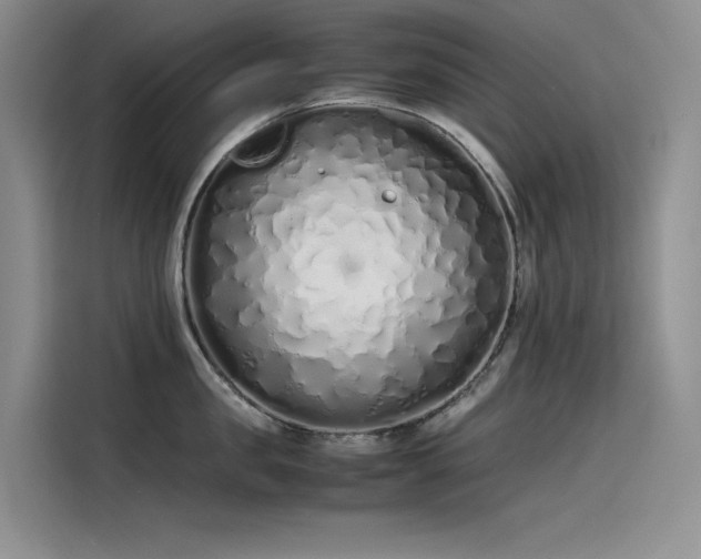 X0000115620957200911171313