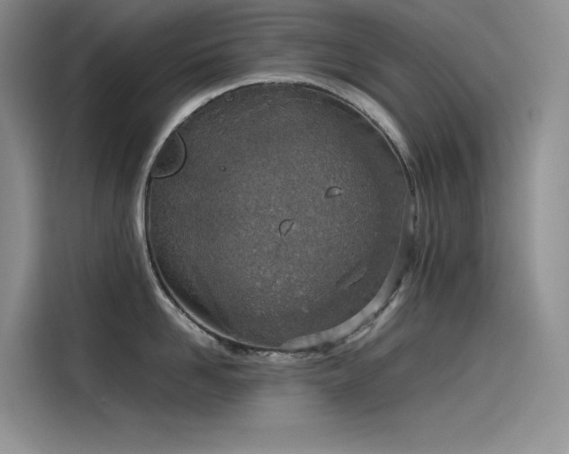 X0000115620958200911171313