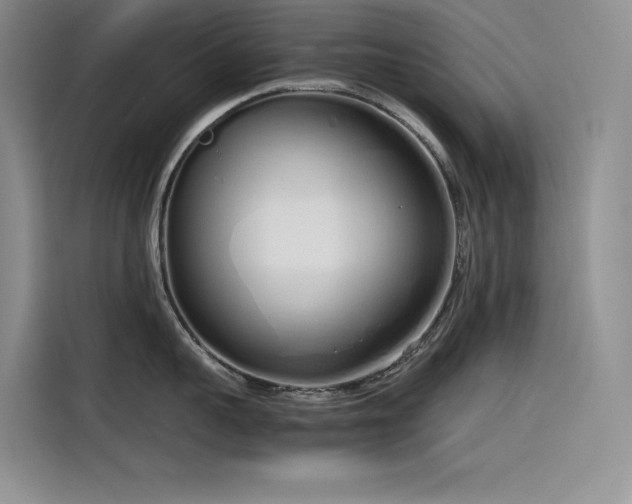 X0000115620959200911171313