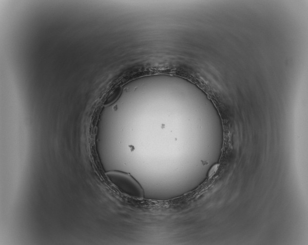 X0000115620961200911171312