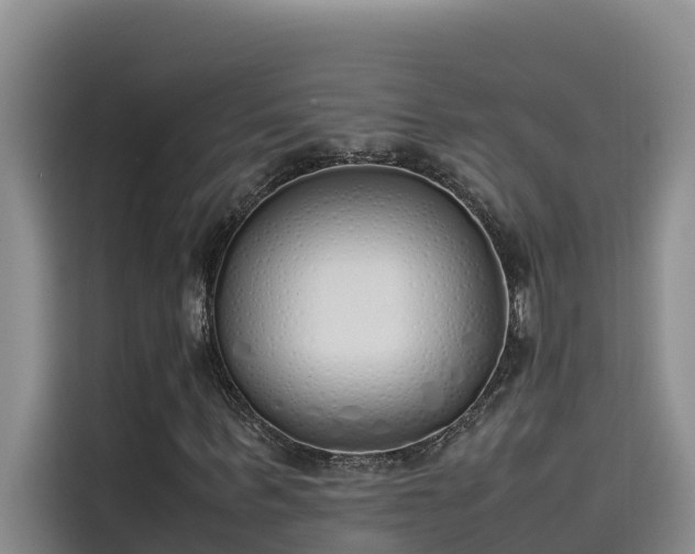 X0000115620963200911171312