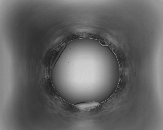 X0000115620965200911171312