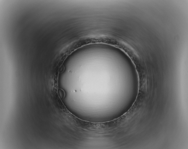 X0000115620966200911171312