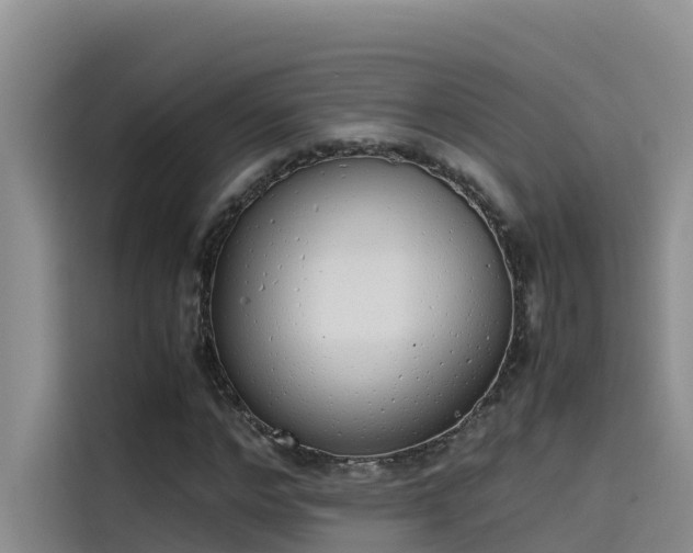 X0000115620968200911171312