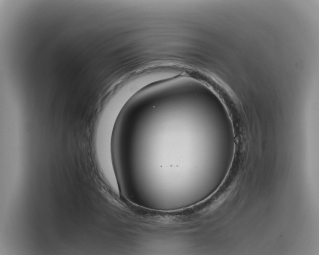 X0000115620969200911171312