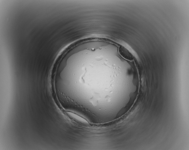 X0000115620972200911171312