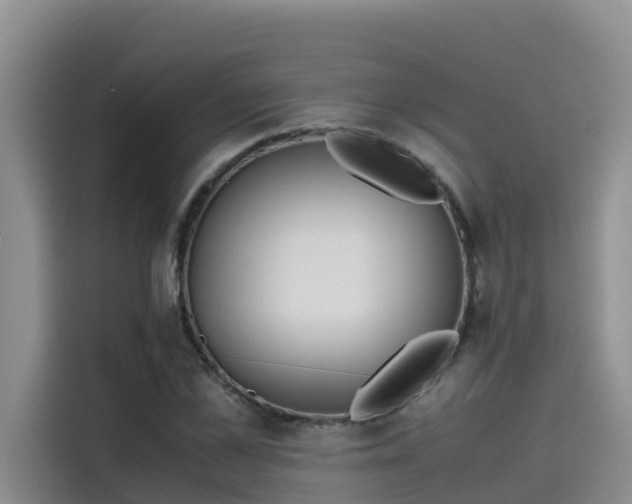 X0000115620973200911171312