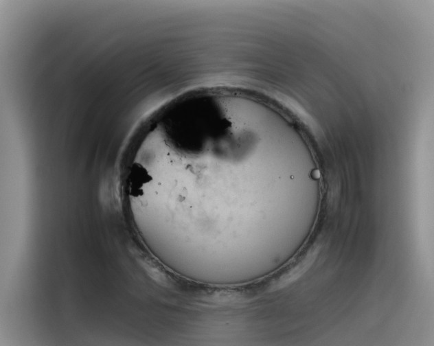 X0000115620974200911171312