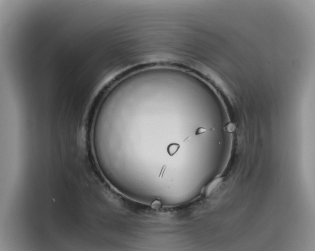 X0000115620975200911171312