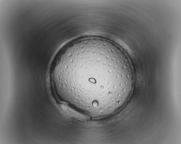 X0000115620976200911171312