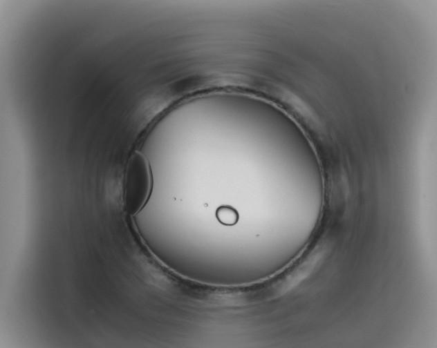 X0000115620977200911171312