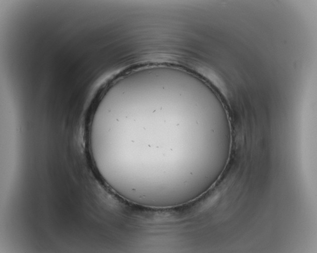 X0000115620979200911171312