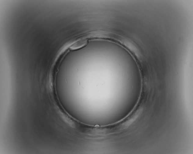 X0000115620981200911171312