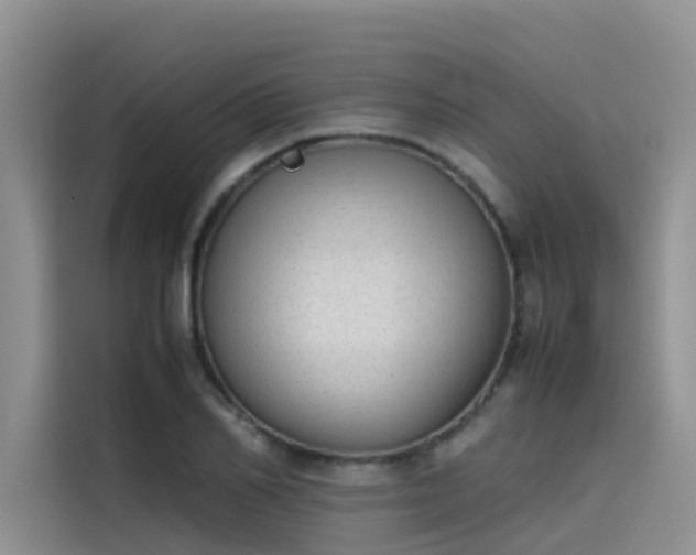 X0000115620982200911171312