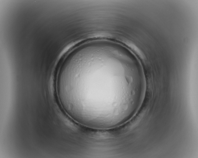 X0000115620983200911171312