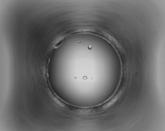 X0000115620985200911171312