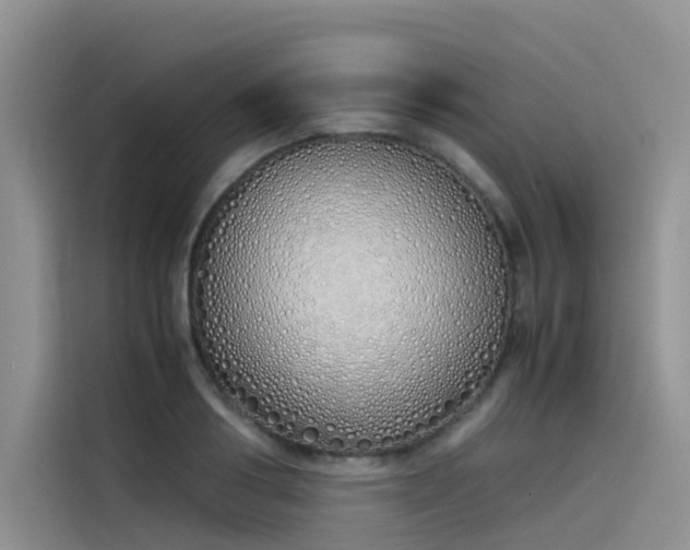 X0000115620986200911171312